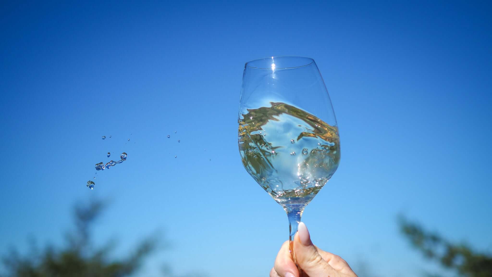 Fall for Riesling