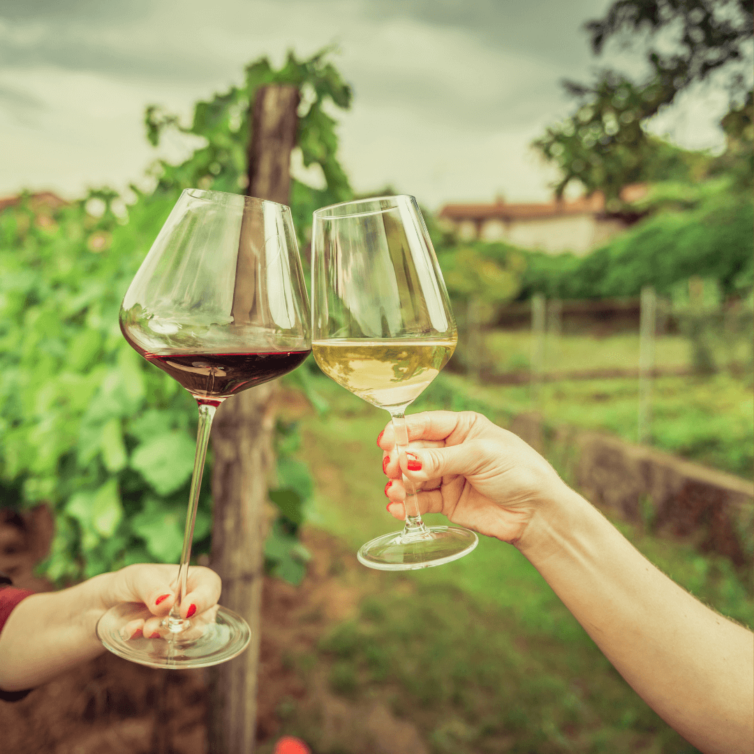 Sip, Savor, and Spring Forward: Your Whimsical Prince Edward County Adventure Awaits