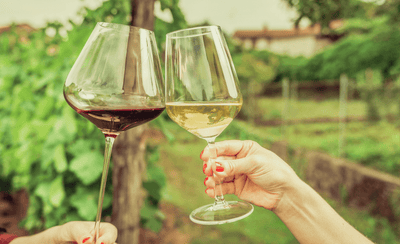 Sip, Savor, and Spring Forward: Your Whimsical Prince Edward County Adventure Awaits