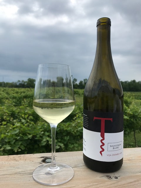 Sauvignon Blanc: Embracing the Funk!