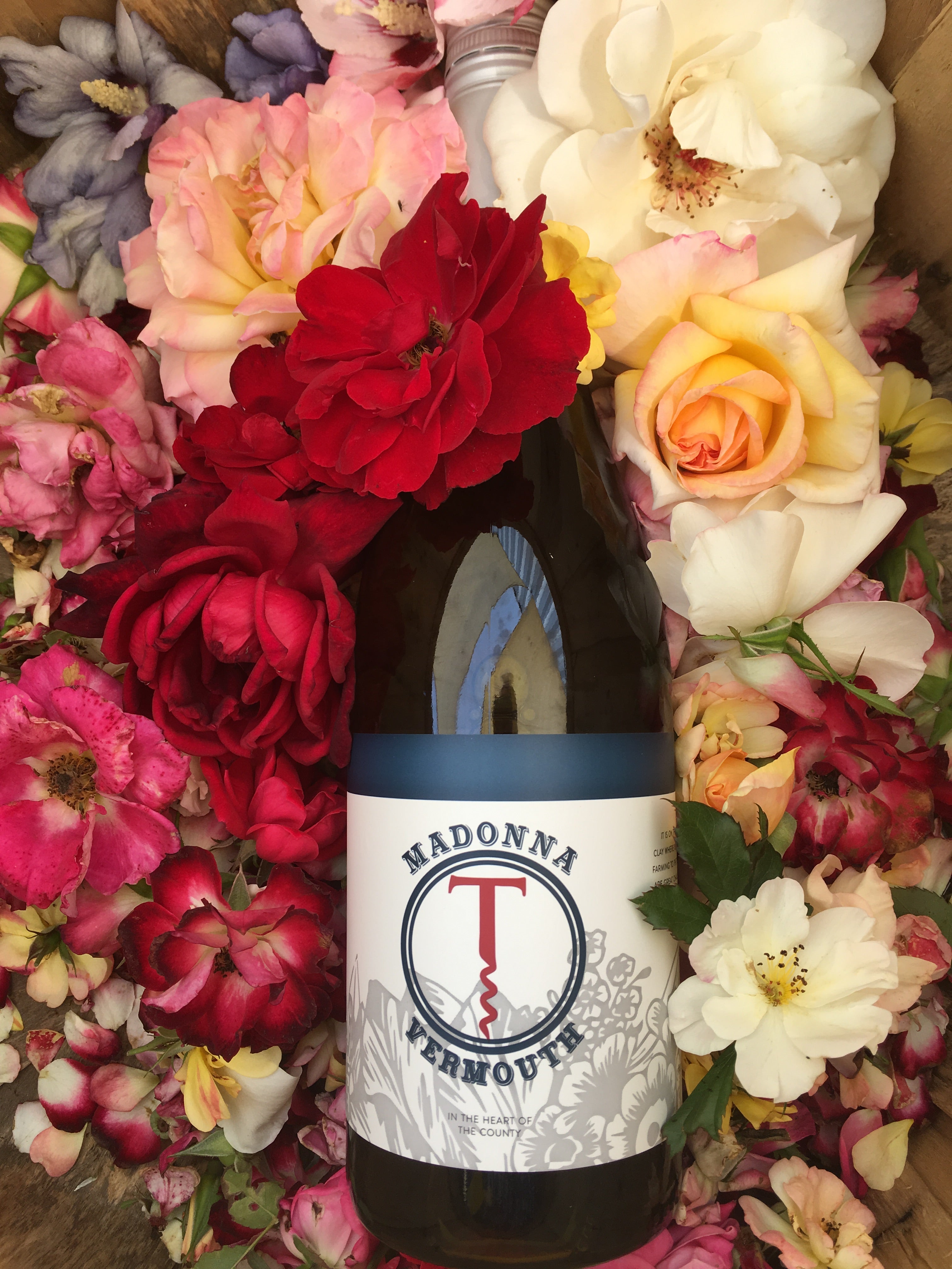 Traynor Madonna Vermouth