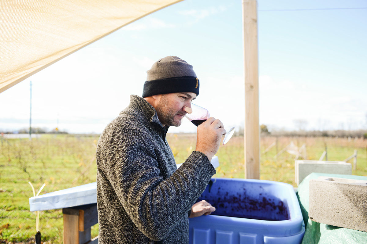 Small Production, Exclusive Wines & Natural Winemaking Methods  - It’s Kind Of Our Style To Push The Limits.