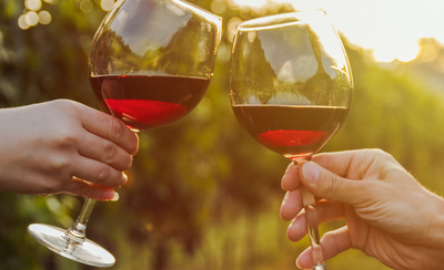 Help Us Bring Traynor Vineyard Closer to You!