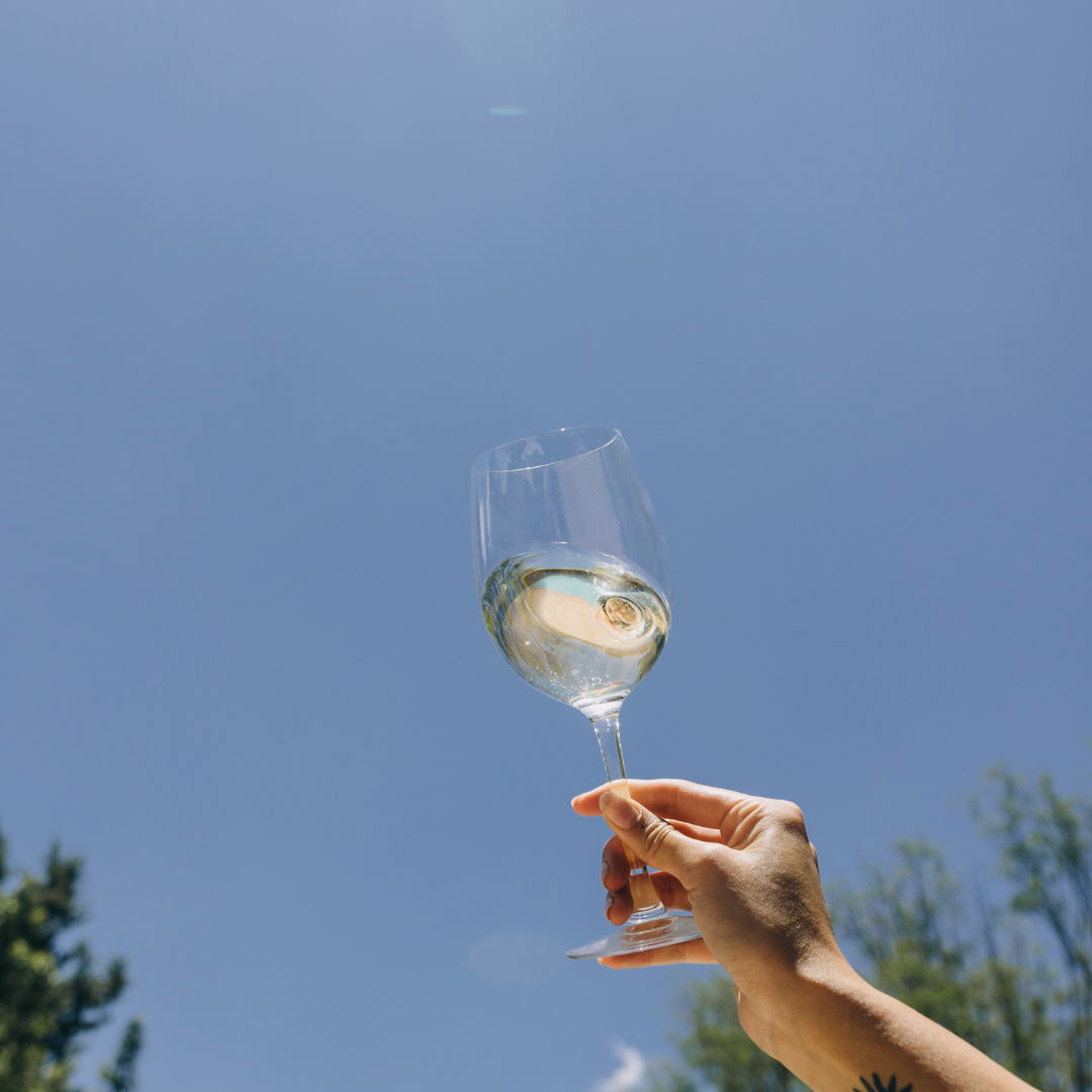 Chill Out with Our Chardonnay: A Traynor Vineyard Special