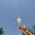 Chill Out with Our Chardonnay: A Traynor Vineyard Special