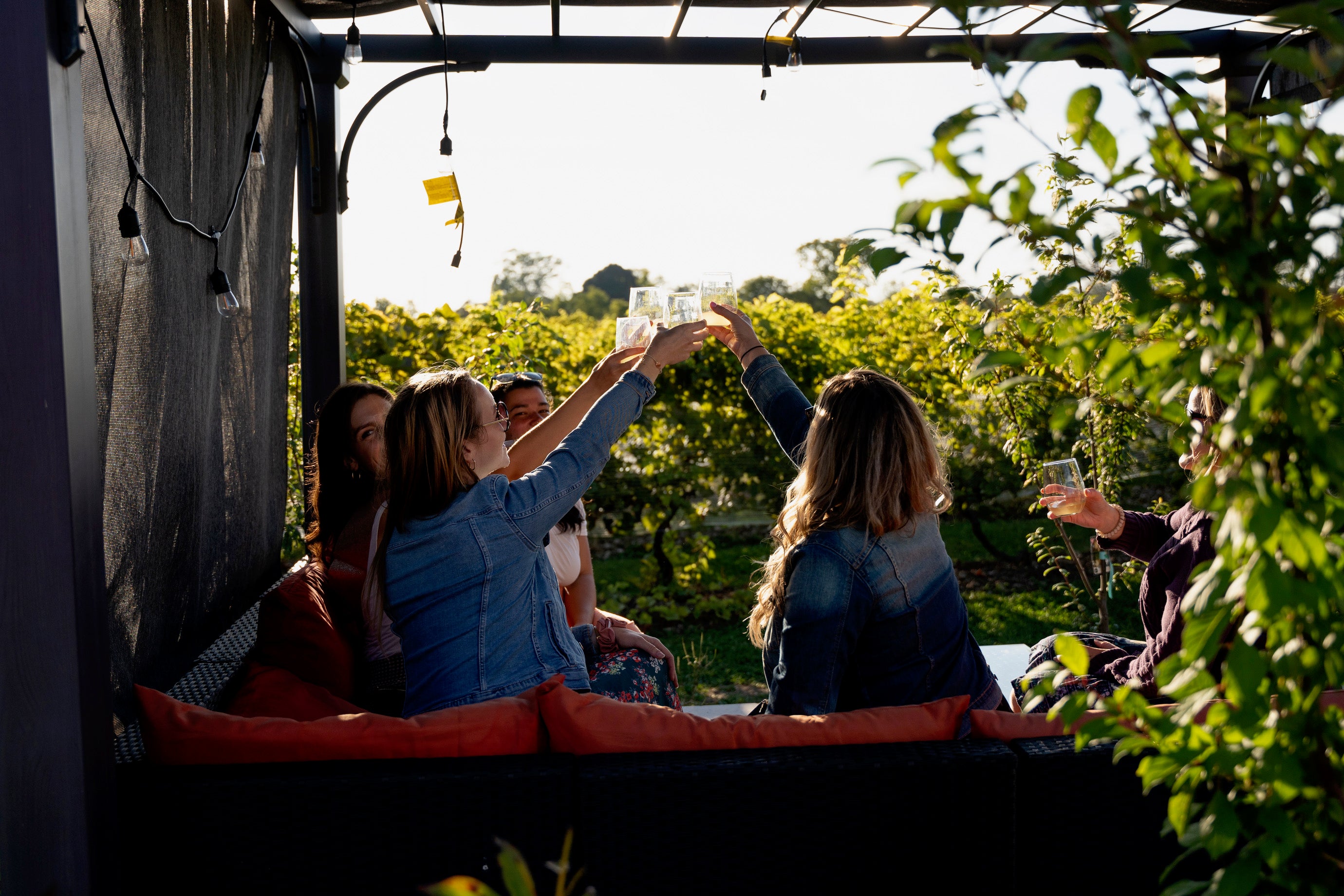 Vineyard Vibes: A Glimpse into the Bar Mamie x Traynor Vineyard Grand Collaboration