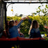 Vineyard Vibes: A Glimpse into the Bar Mamie x Traynor Vineyard Grand Collaboration