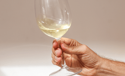 Nature's Finest Elixirs: Unraveling the Mysteries of Natural Wine with Traynor Vineyard