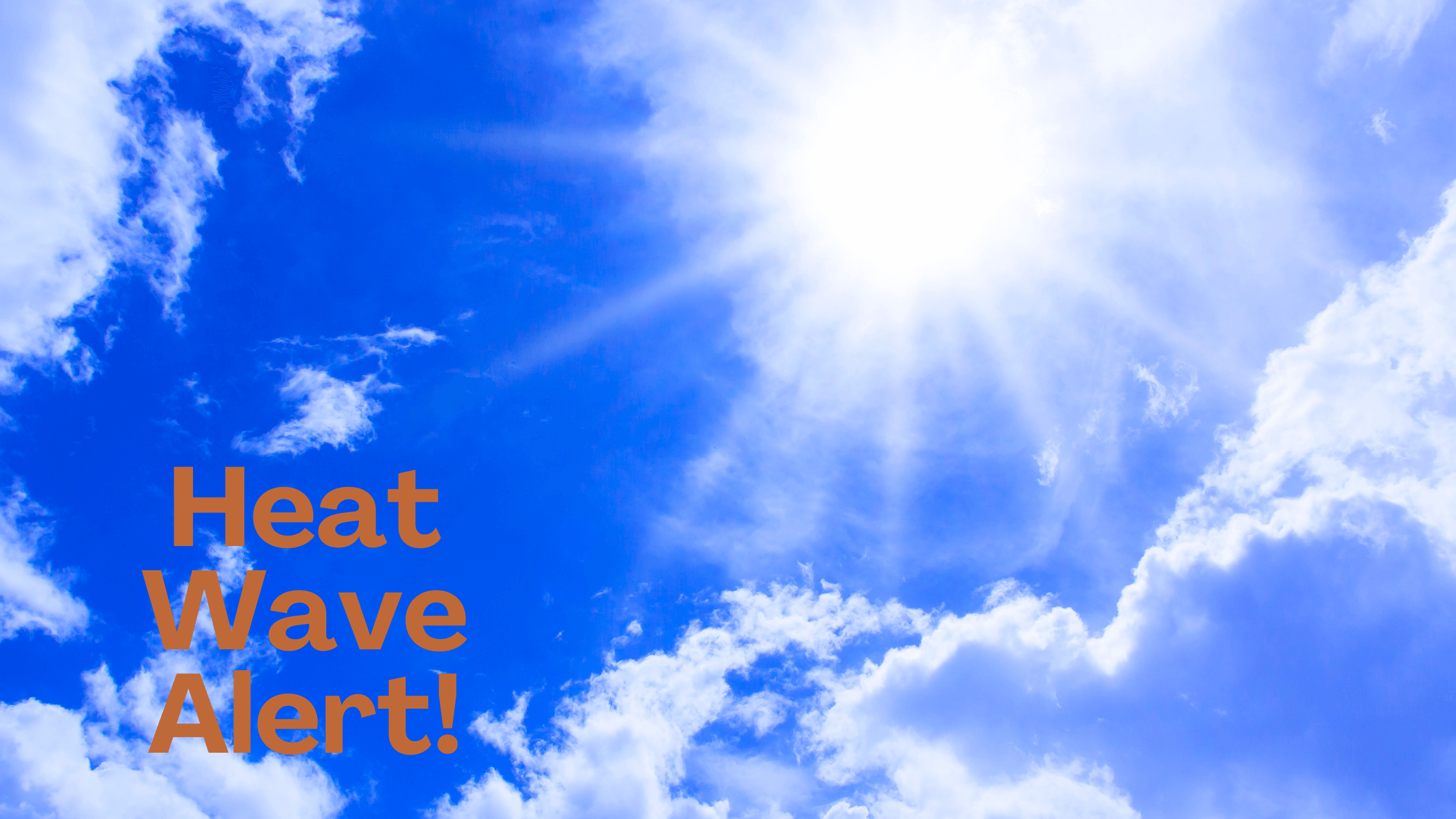 Beating the Heat: A Wine Enthusiast's Guide to Staying Cool and Sipping Safely During a Heat Wave