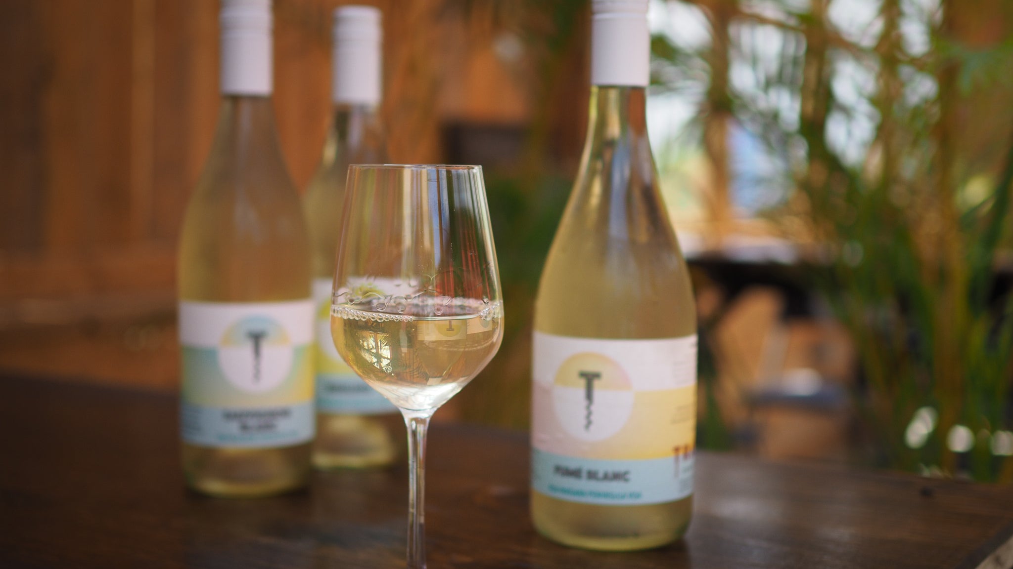 New Wines For the End of Summer!