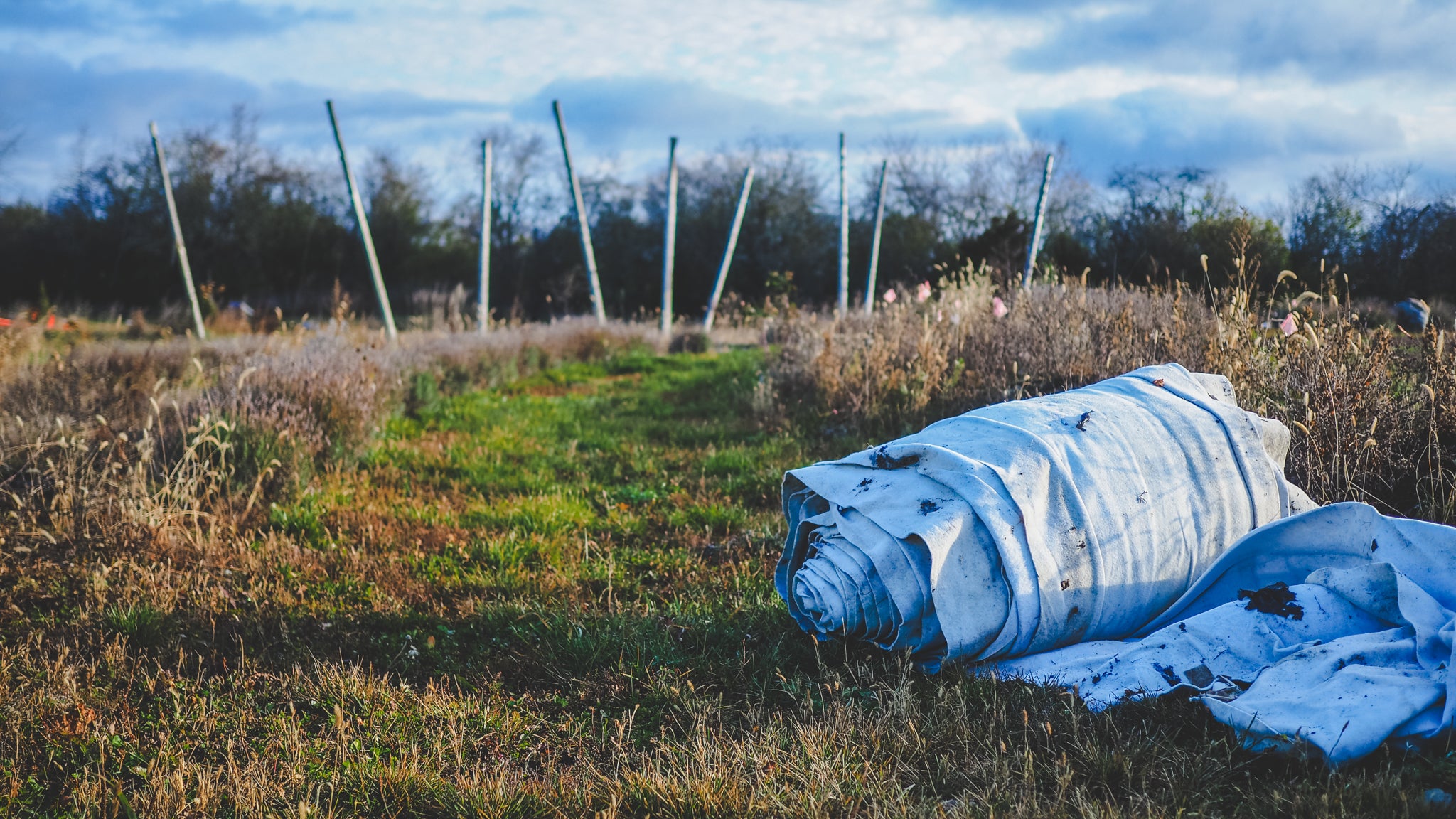 Vineyard Update: Preparing for Winter