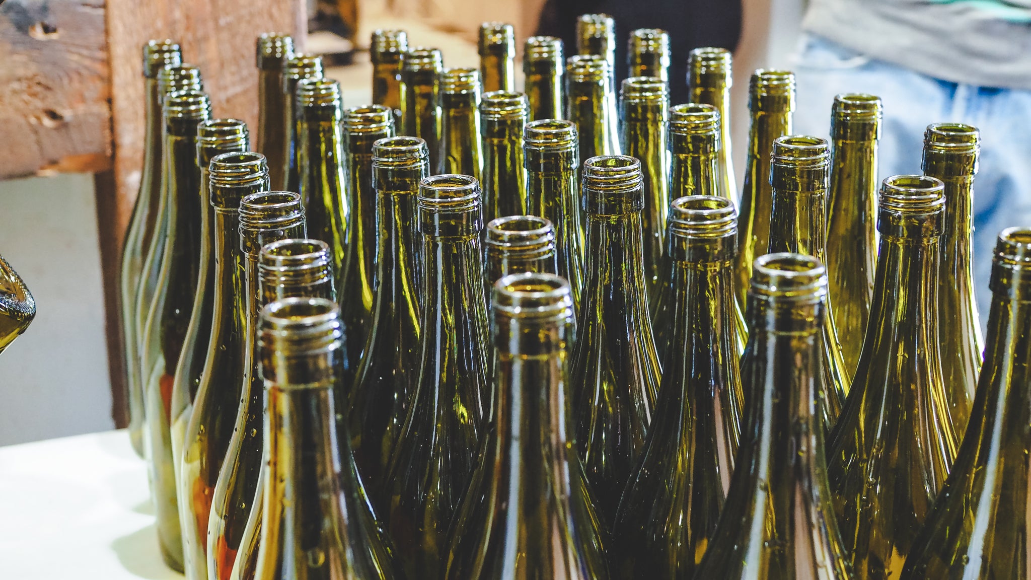 Vineyard Update: A Fresh Start in 2021