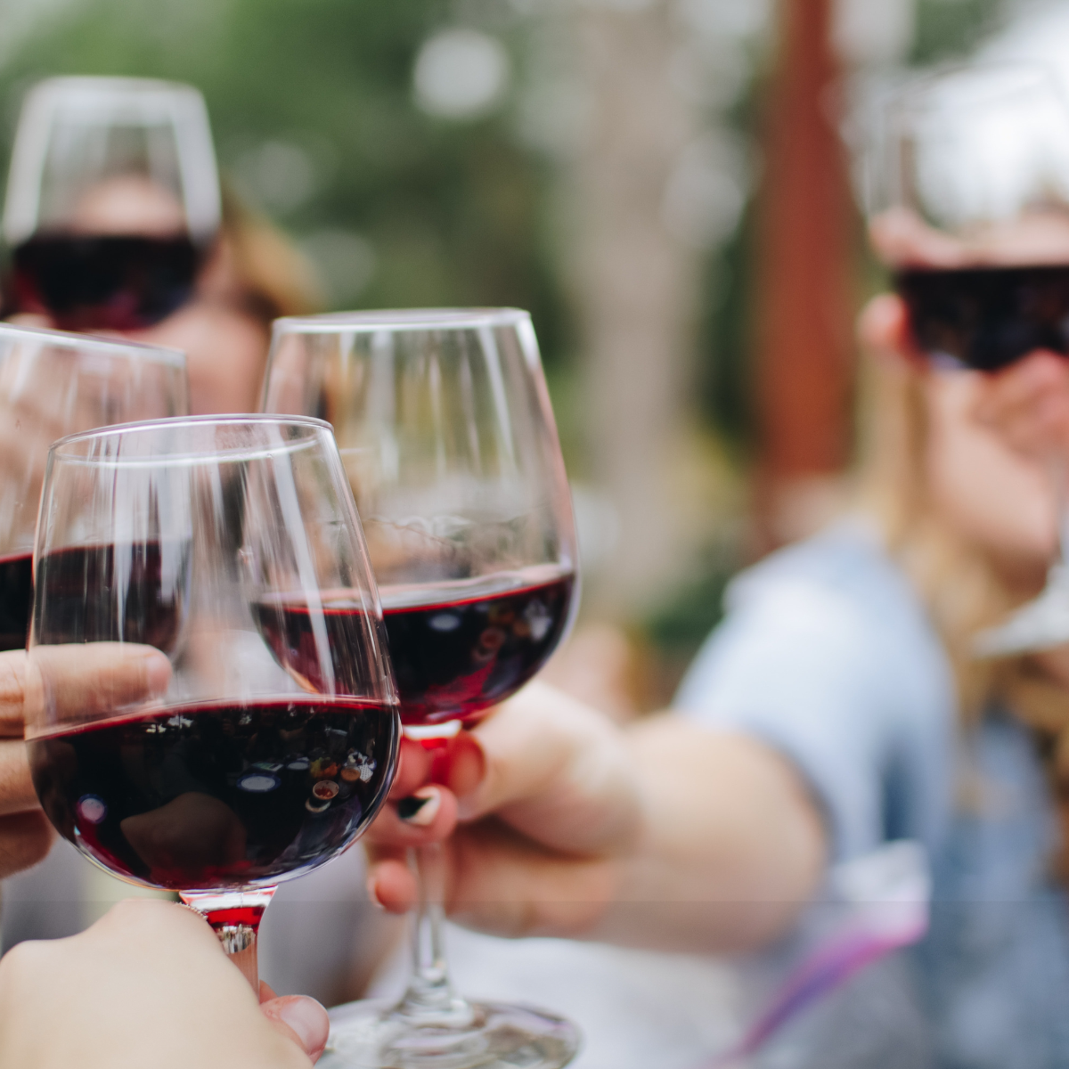 Preserving the Bounty of Prince Edward County: Wine Storage Tips from Traynor Vineyard