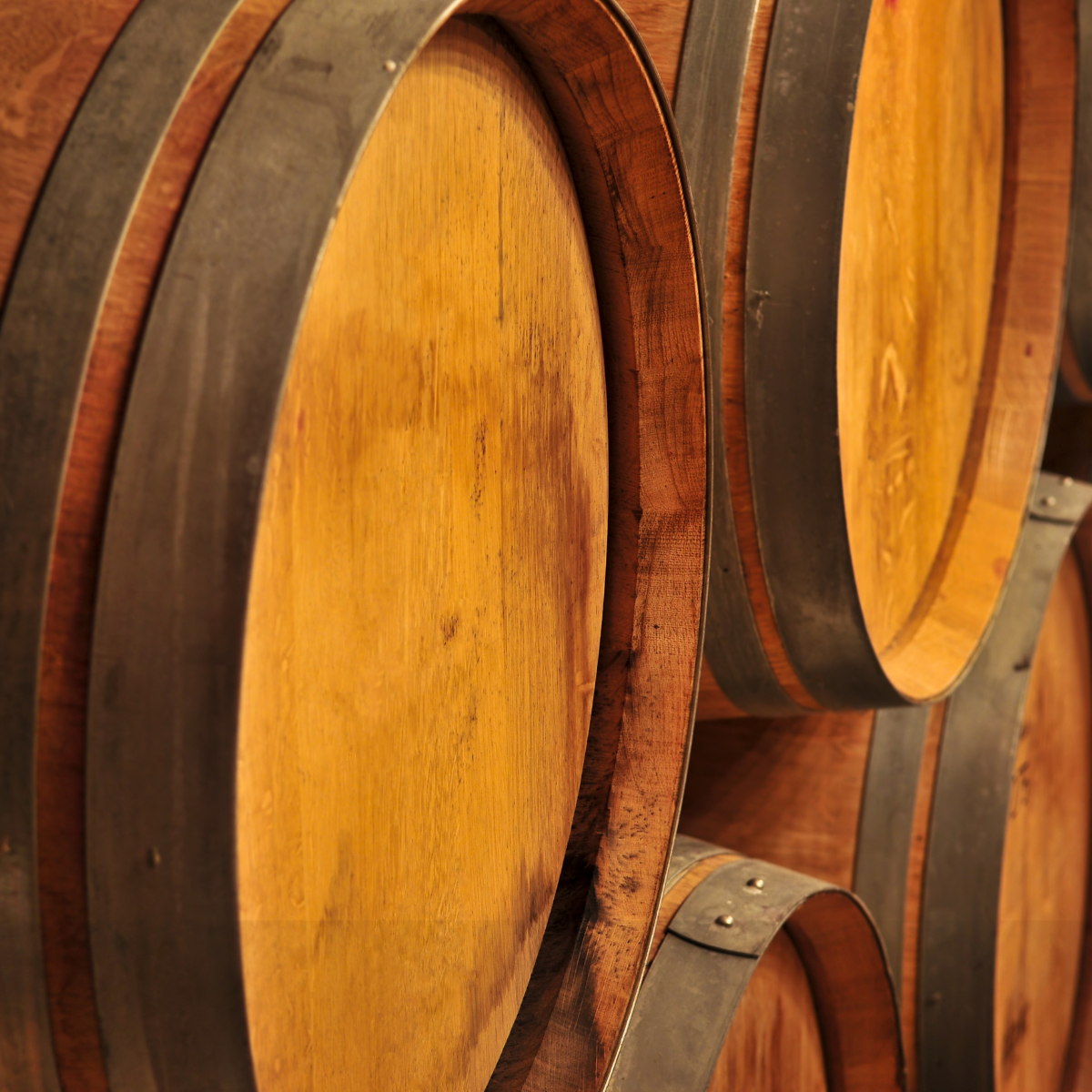 Unlocking the Secrets of Winemaking: Cellarmasters Barrel Tasting at Traynor Vineyard