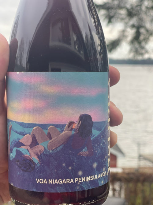 Library Wine 2020 Grape Crush "Clarissa"