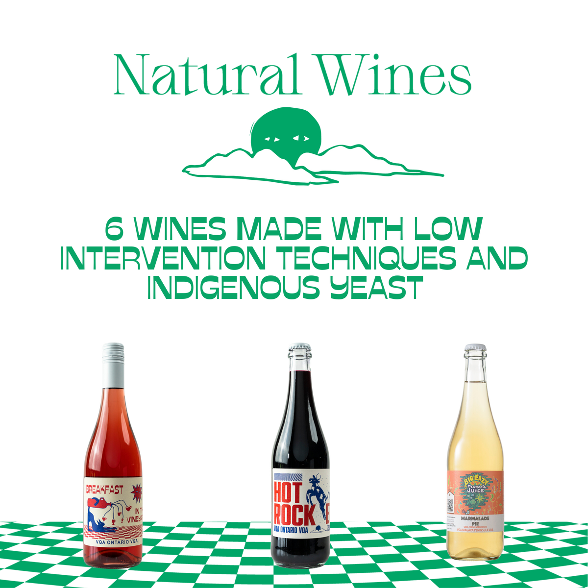 Traynor's Natural Wine Sampler Discover the Delights of Natural Wine