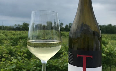 Sauvignon Blanc: Embracing the Funk!