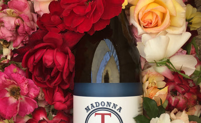 Traynor Madonna Vermouth