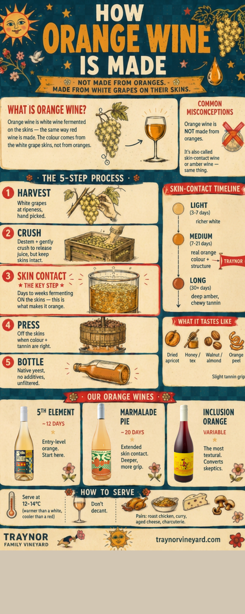 How Orange Wine Is Made — In 5 Steps