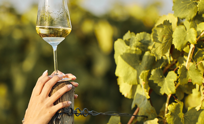 Sip Outside the Box: The Wine Lab Series at Traynor Vineyard