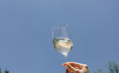 Chill Out with Our Chardonnay: A Traynor Vineyard Special