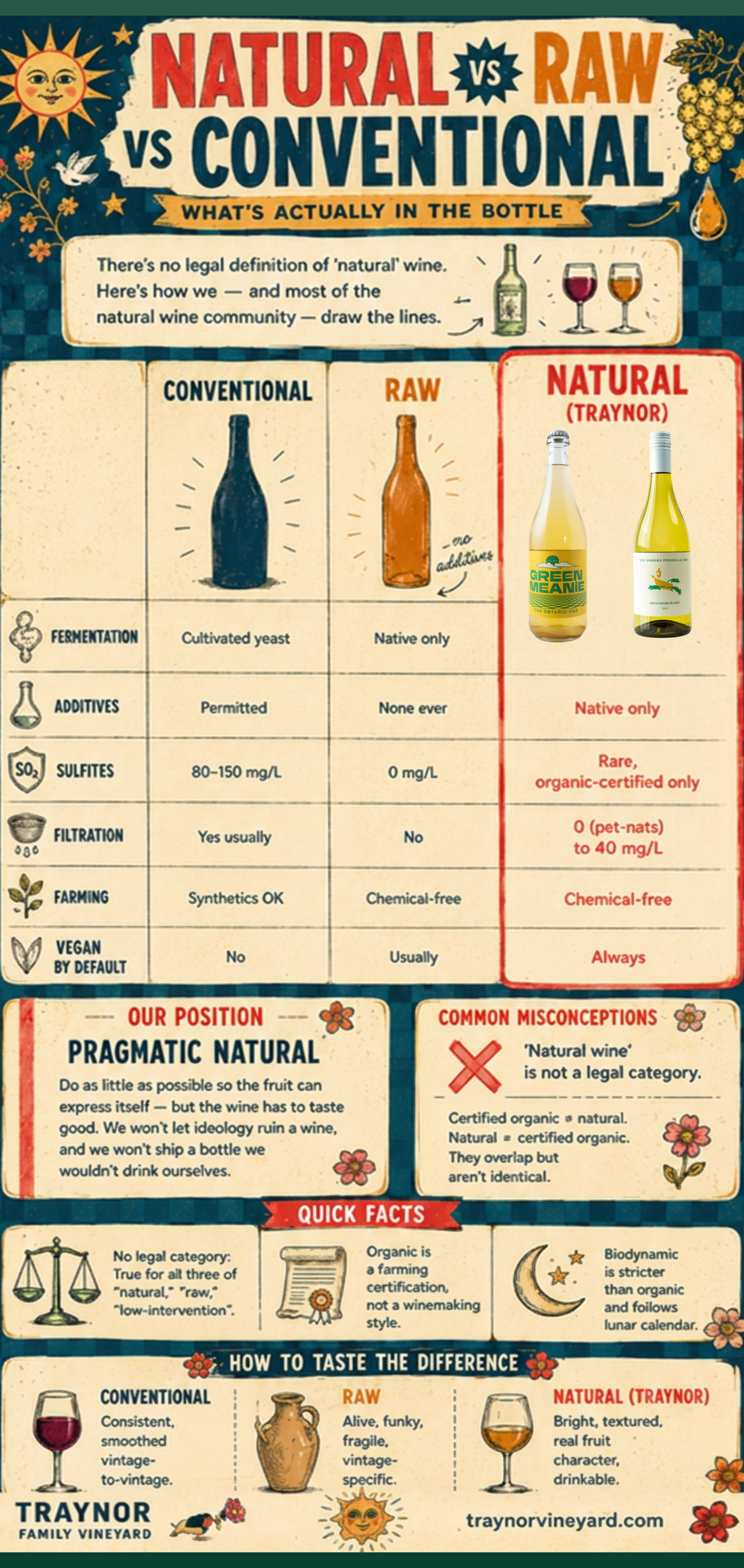 Natural vs Raw vs Conventional Wine — What's Actually in the Bottle?