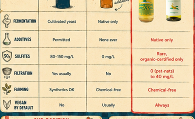 Natural vs Raw vs Conventional Wine — What's Actually in the Bottle?
