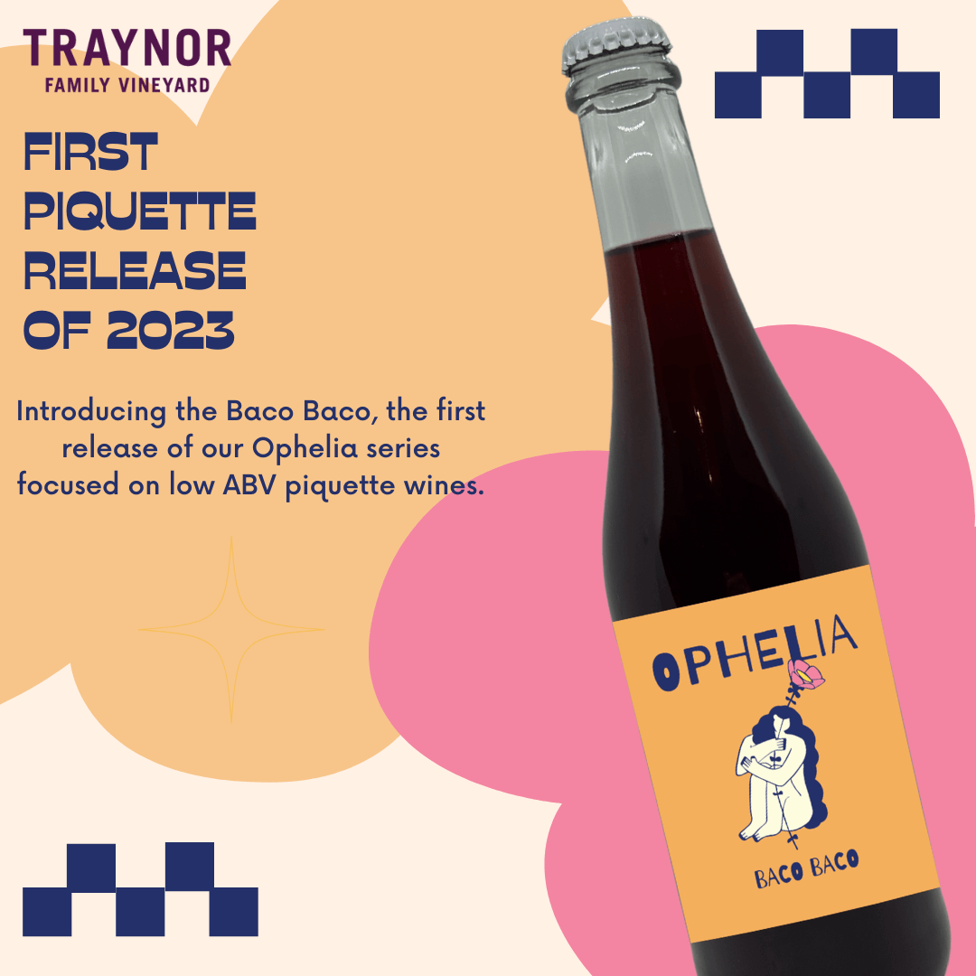 Piquette Wine: The Ancient Beverage Making a Comeback with Traynor Vineyard's Ophelia Collection