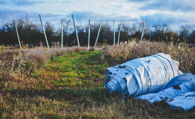 Vineyard Update: Preparing for Winter