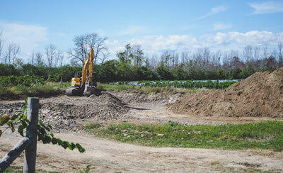 Vineyard Update: Just Keep Digging