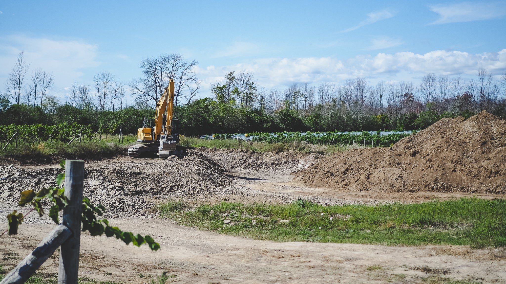 Vineyard Update: Just Keep Digging
