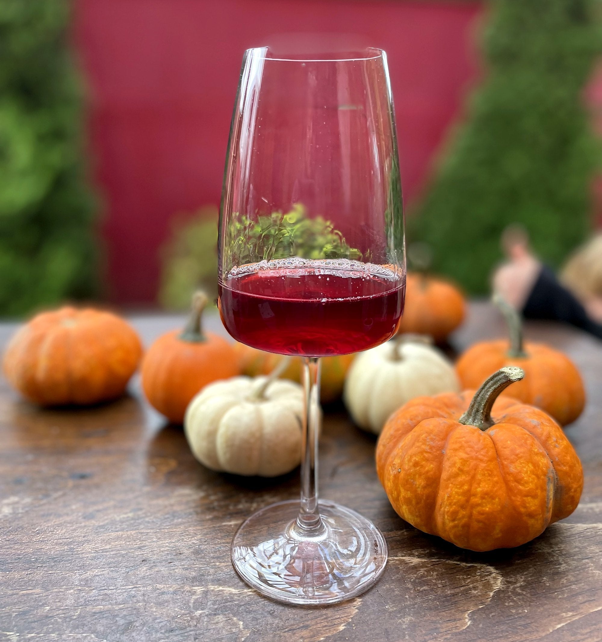 The Canadian Thanksgiving Wine Guide From a Prince Edward County Winery