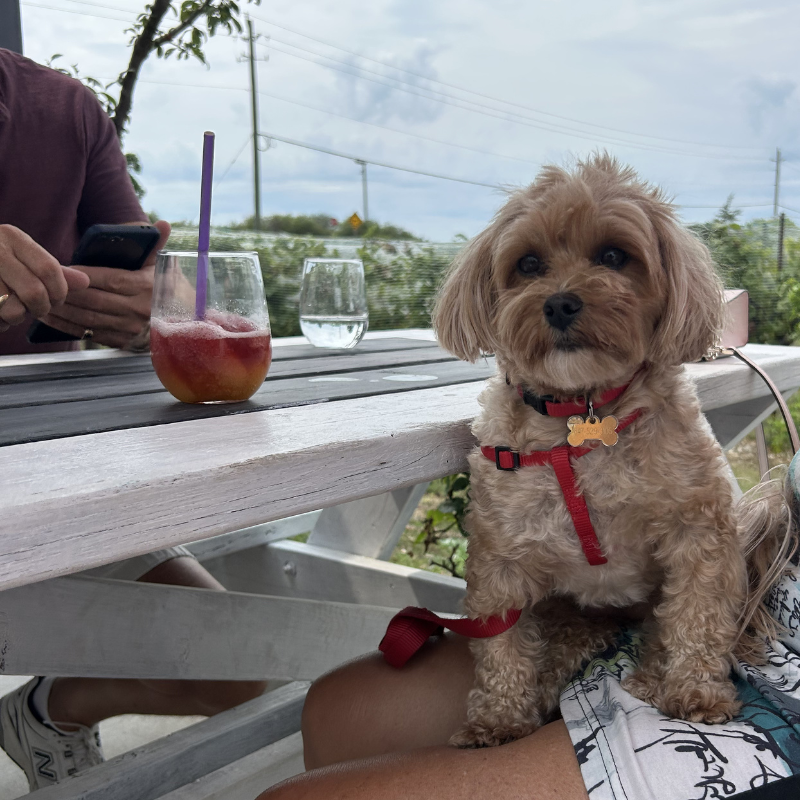 Apres Beach Happy Hour