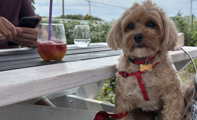 Apres Beach Happy Hour