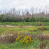 Smaller Map, Better Experience: How to Plan a Prince Edward County Trip