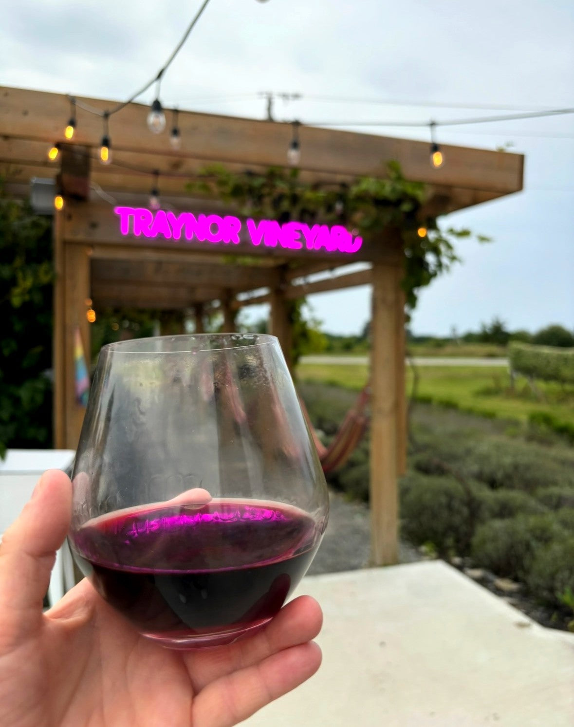 Things to Do Near Sandbanks With Kids: Beach, Dunes, and the Winery After