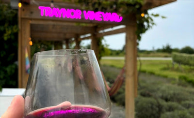 Things to Do Near Sandbanks With Kids: Beach, Dunes, and the Winery After