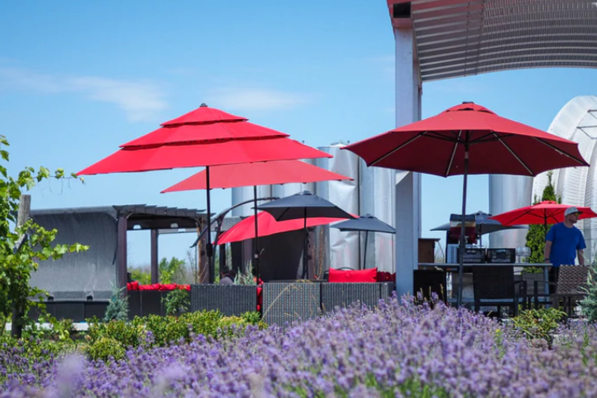 Prince Edward County Day Trip from Toronto: A Real Itinerary