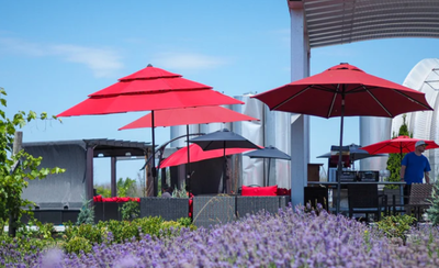 Prince Edward County Day Trip from Toronto: A Real Itinerary