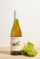 White wine bottle with a label and a bunch of grapes on a light background