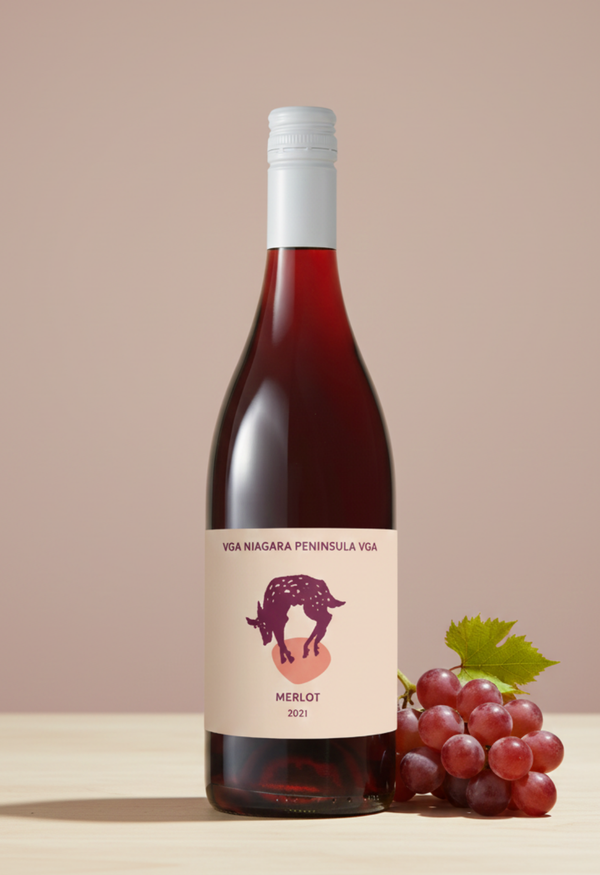 Bottle of Merlot wine with a label and grapes on a beige background