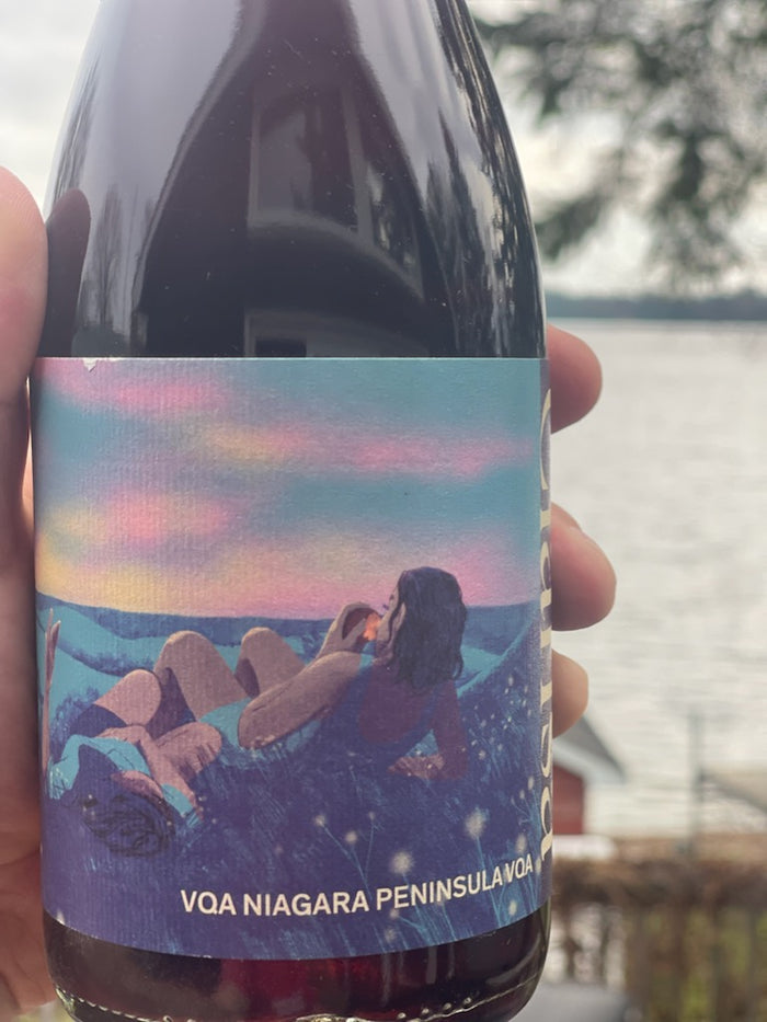 Library Wine 2020 Grape Crush "Clarissa"