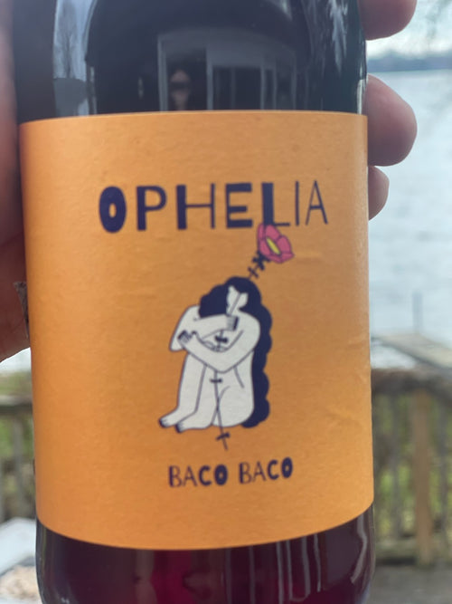 Library Wine 2022 The First Bottle of Baco Baco