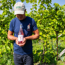 Holding a wine bottle in the vineyard