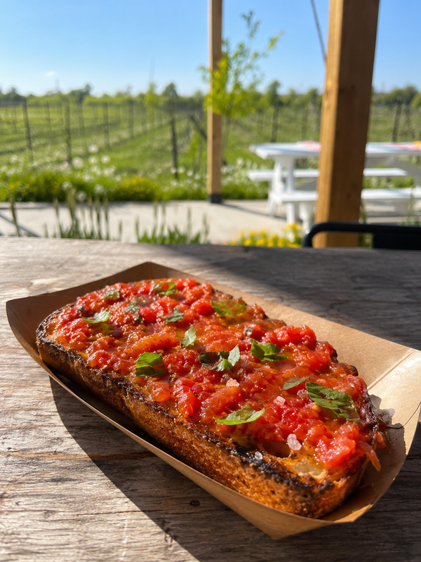 Pan Tumaca at Traynor Family Vineyard - charred sourdough topped with smashed tomato, garlic oil, flaky salt, and torn basil, served in a kraft tray with the Hillier vineyard behind