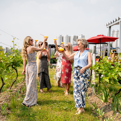 Photo experience at the Traynor Family Vineyard a winery in Prince Edward County, Ontario